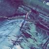 adamshumate58